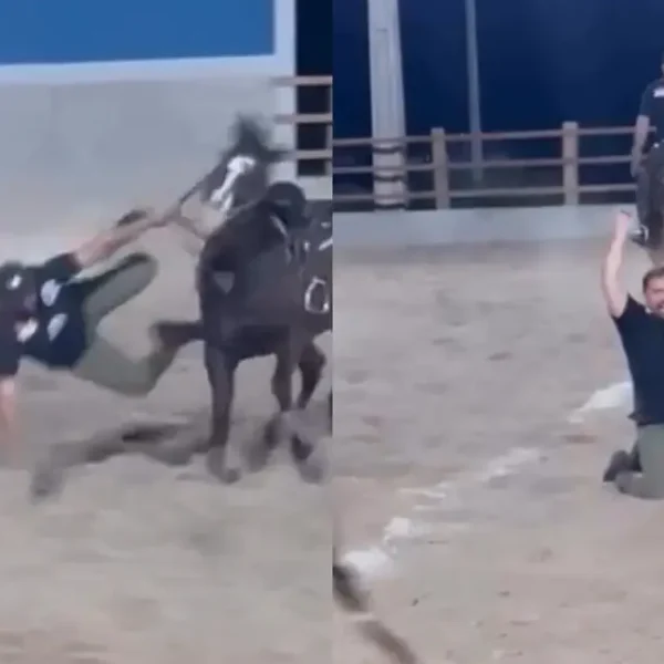 Xand Avião cai de cavalo durante treino de vaquejada em Caruaru