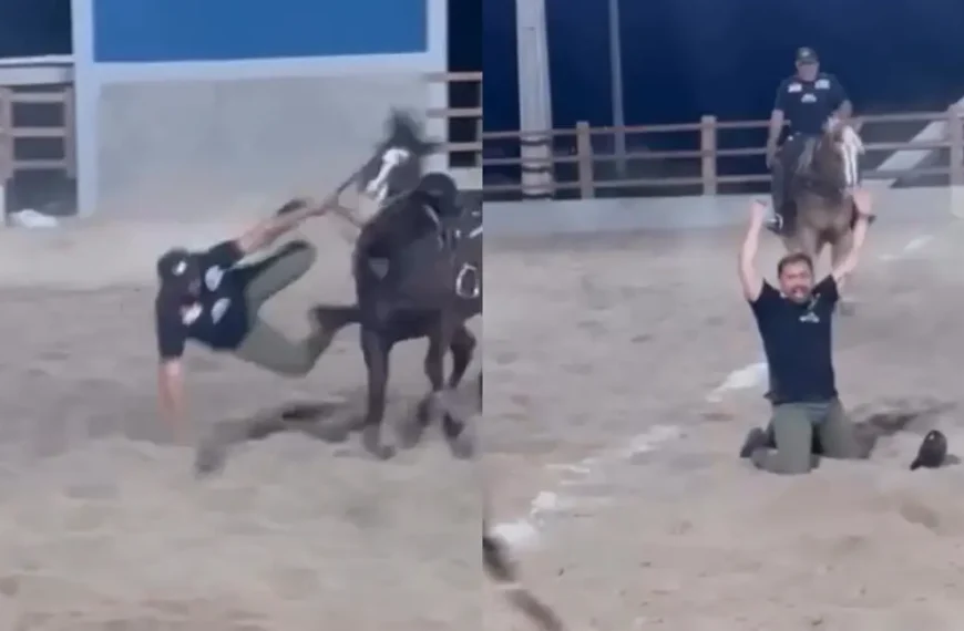 Xand Avião cai de cavalo durante treino de vaquejada em Caruaru